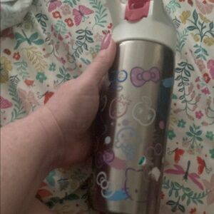 Hello Kitty Stainless Steel Water Bottle - Pink and Silver